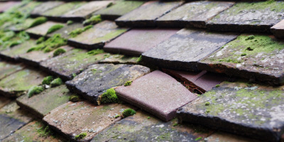 De Parys roof repair costs